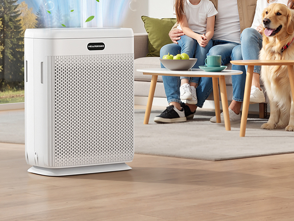 air purifier with washable filters only