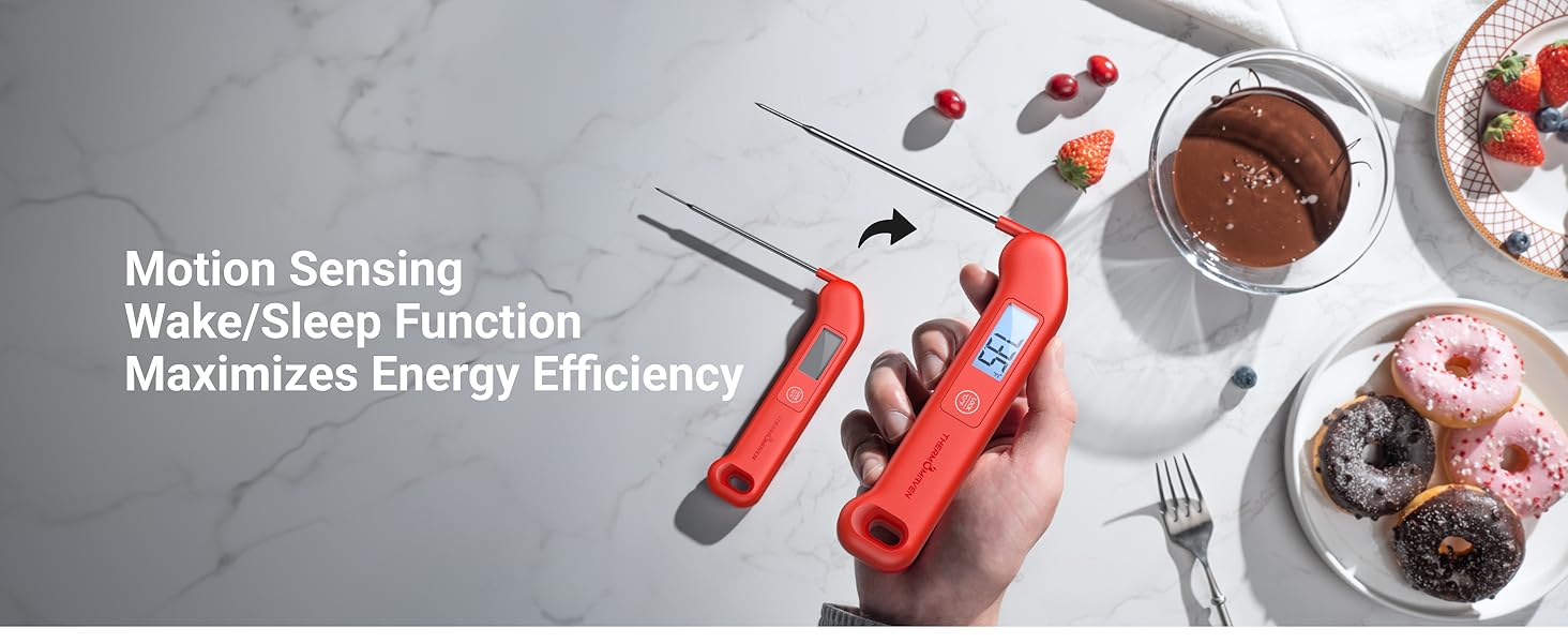 meat thermometer digital