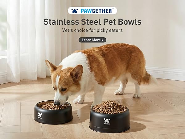 dog bowls