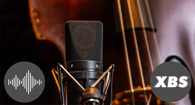 close crop of a black microphone in front of a stand up bass