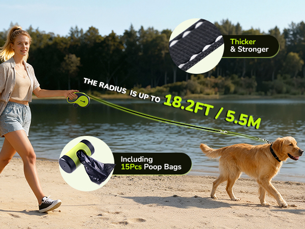 dog leash