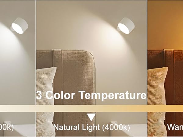 Reading Wall Mounted Lights
