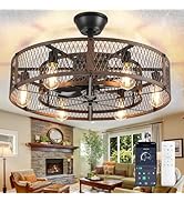 DLLT Caged Ceiling Fan with Lights: 26" Bladeless Fandelier with Light and Remote - Walnut Indust...