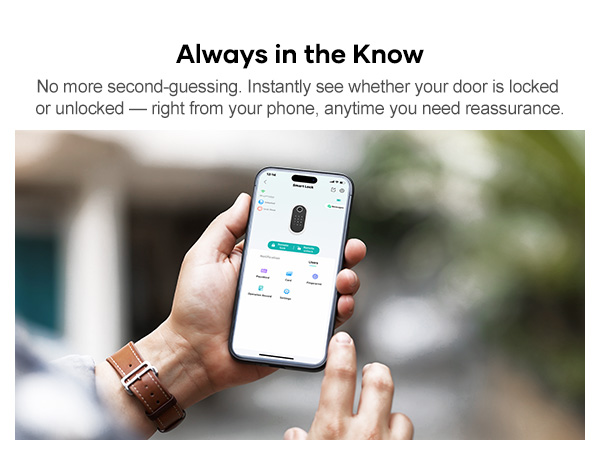 keyless entry door lock with handle