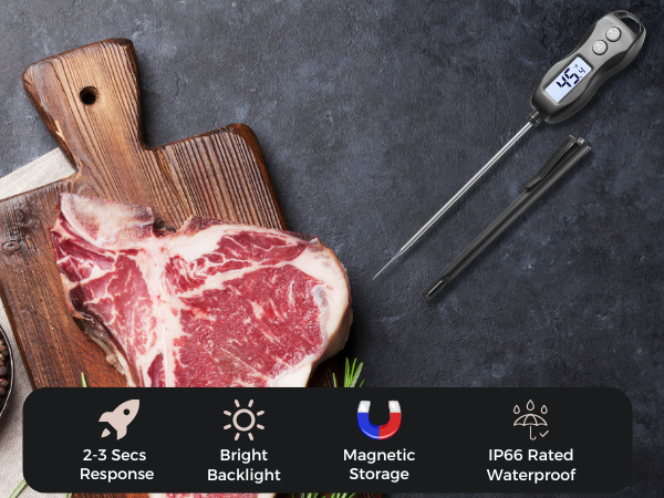 steak thermometer