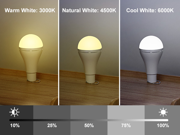 Brightown Rechargeable Light Bulb with Remote