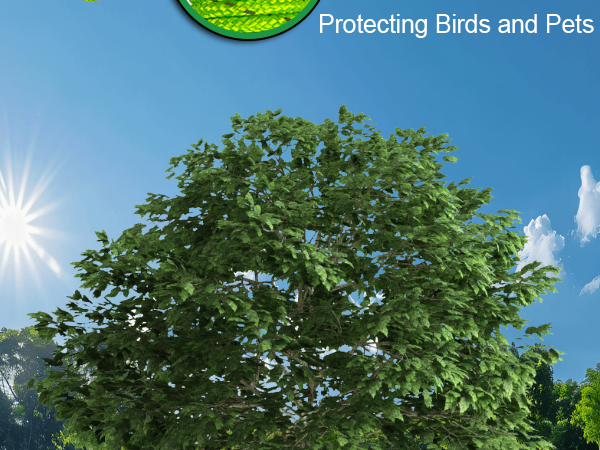 Tree supports young trees