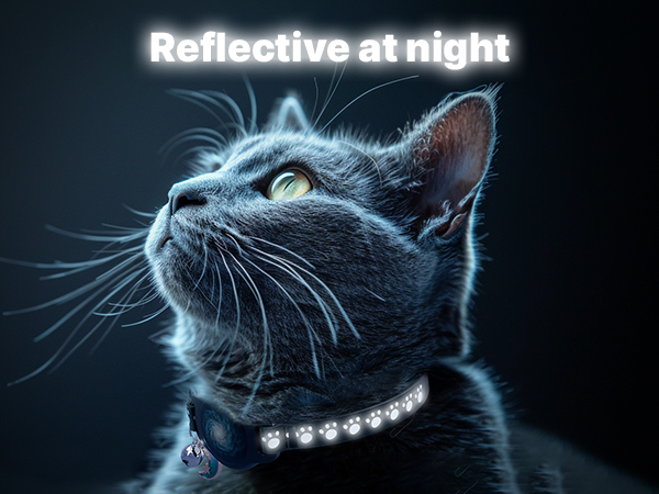 glow in the dark cat collar