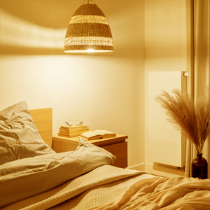 daylight led light bulbs