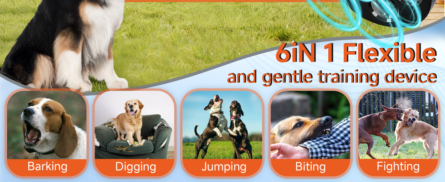 Dog Bark Deterrent Device