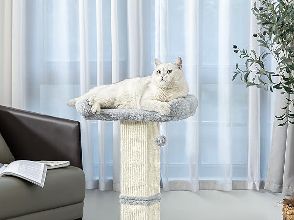 cat scratching post with Plush Perch