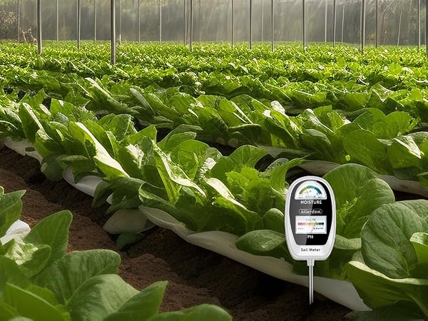 2in1 Moisture Meter