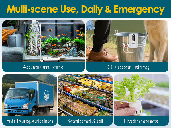 quiet air pump for aquarium