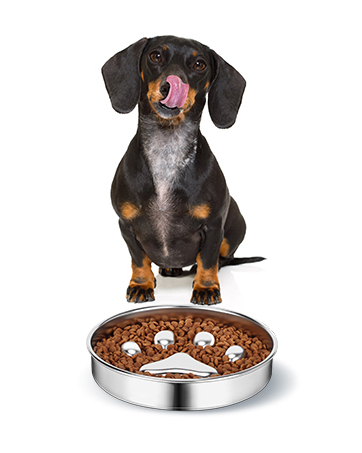 Slow Feeder Dog Bowls
