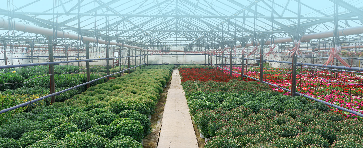 Greenhouses
