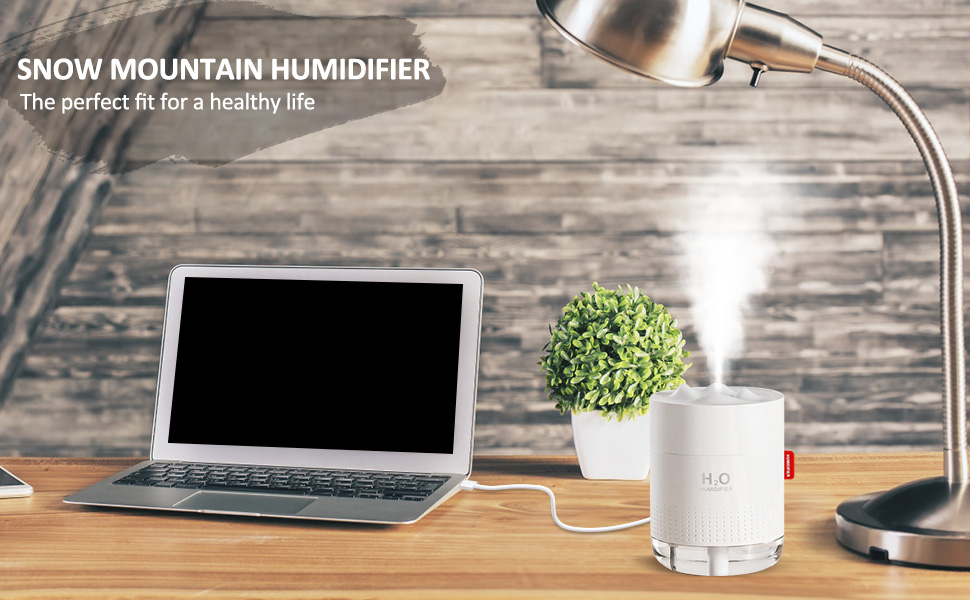 Portable Humidifier