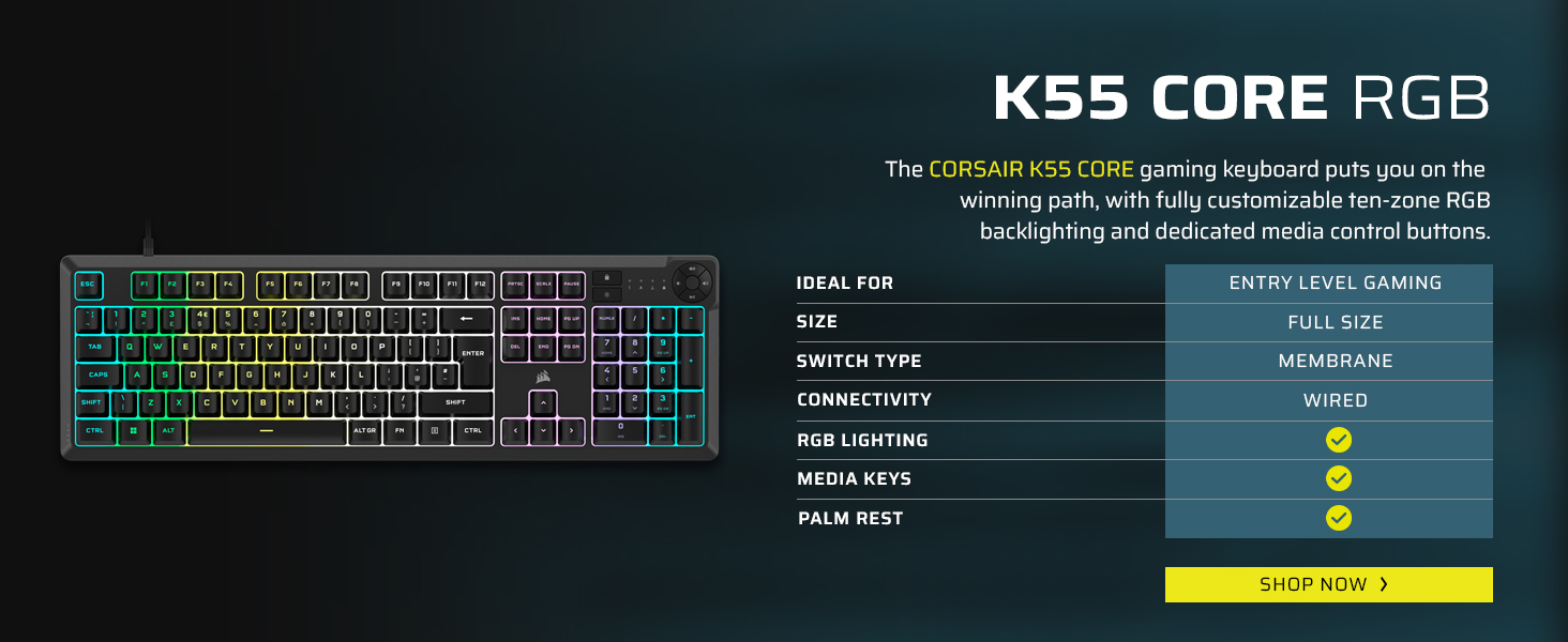 K70 CORE TKL Wireless 