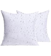 MIULEE Pack of 2 18x18 Outdoor Pillow Inserts, Outdoor Throw Pillows Water-Resistant Decorative P...
