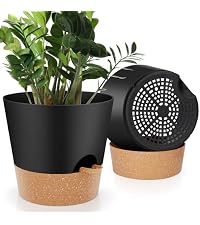 https://m.media-amazon.com/images/S/aplus-media-library-service-media/40cc7eb5-19c0-430b-9b16-b89846145c06.__AC_SR200,225___.jpg