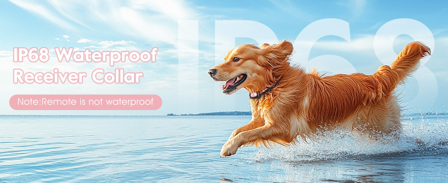 shock collar for dogs