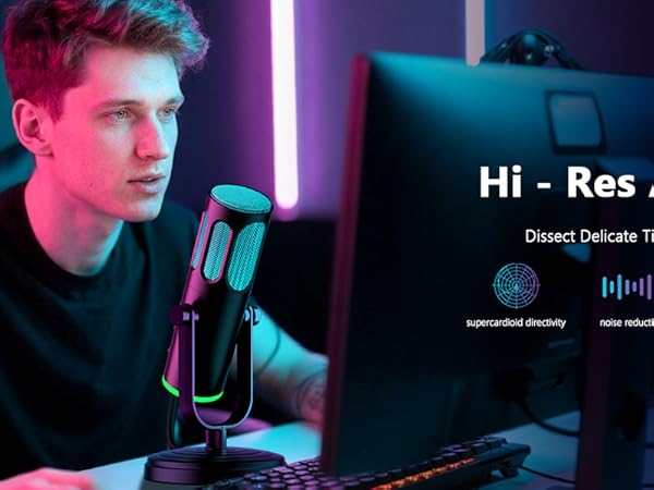 professional microphone