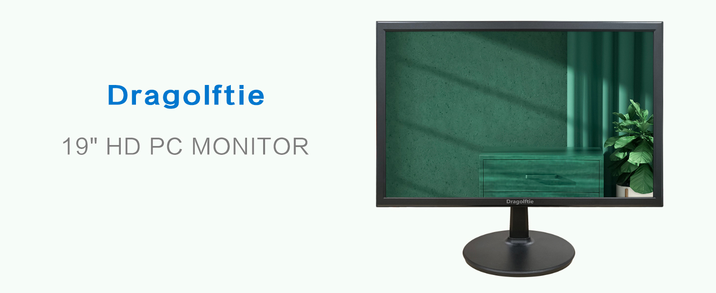 19 inch computer monitor