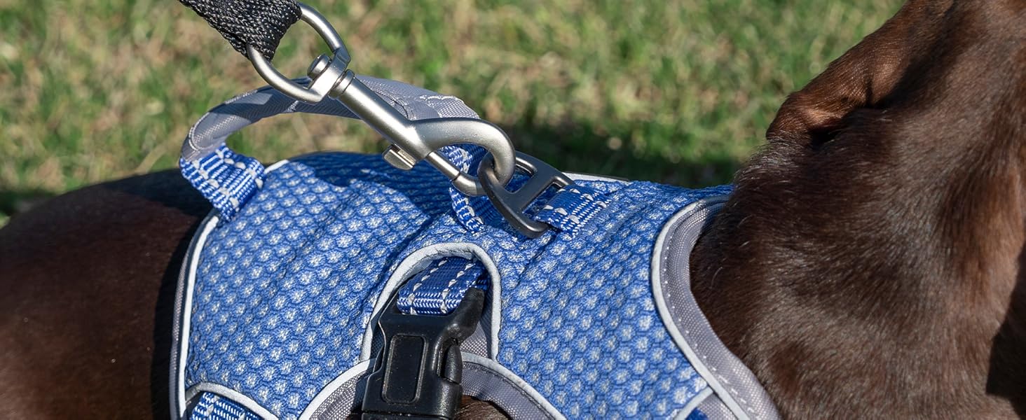 escape proof dog harness