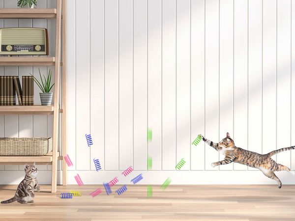 cat indoor toy