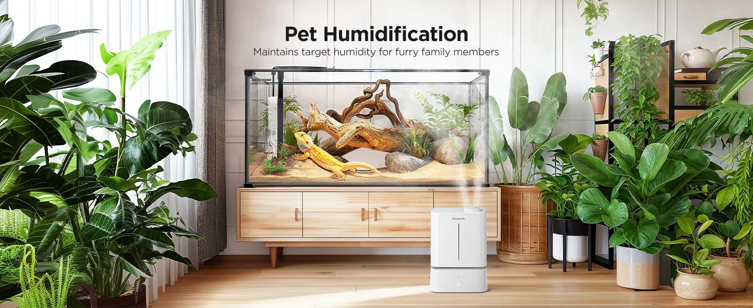 Pet humidification