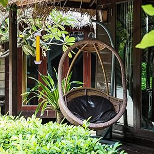 backyard bait best bug catcher catchers control disposable flies fly strick flys flyes bu btu cather