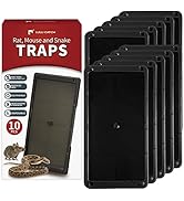 LULUCATCH Super Glue Traps 10 Pack for Mice &amp; Snakes, Larger, Heavier Sticky Traps with Non-Toxic...