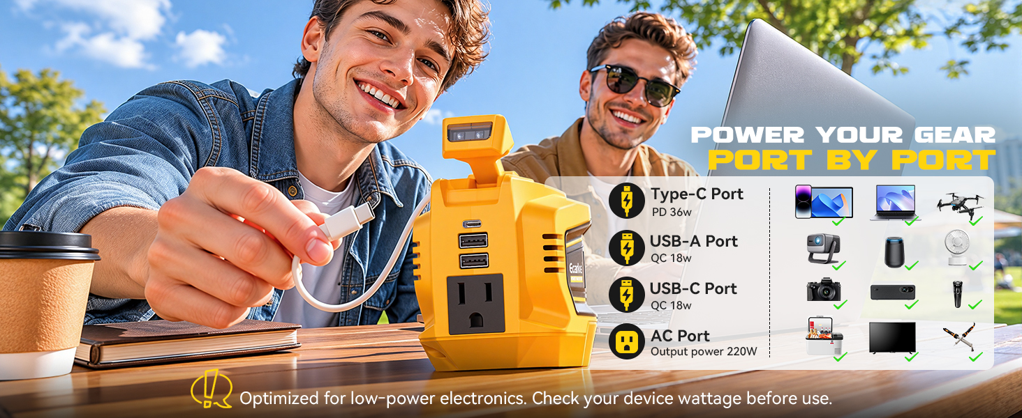 power inverter 20v to 110v