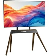 Floor TV Stand