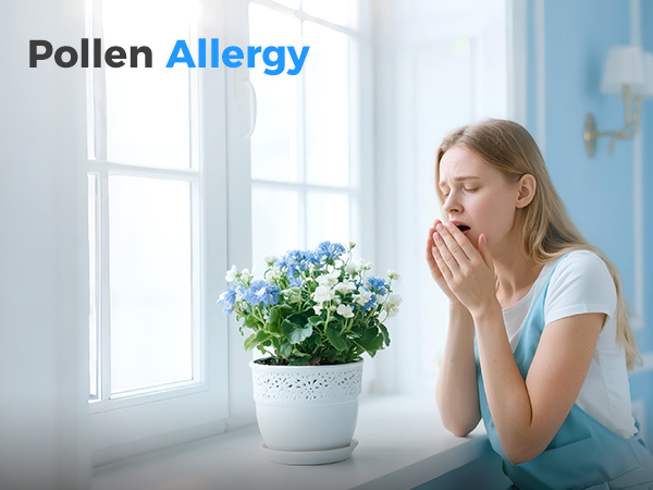 Air Purifiers for pollen