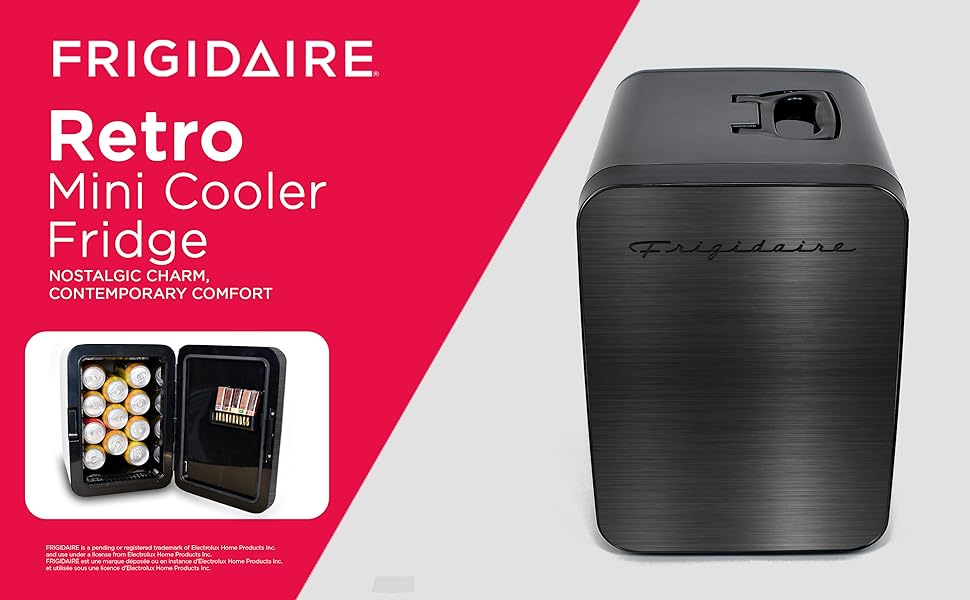 Mini Cooler Fridge
