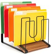 HULISEN Inclined Desk File Organizer, Extra Wide 5 Slots File Folder Holder | Slanted Visible Tie...