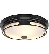 Rosient Close to Ceiling Light Fixture, 16 Inch Large Flush Mount Ceiling Light with Frosted Glas...