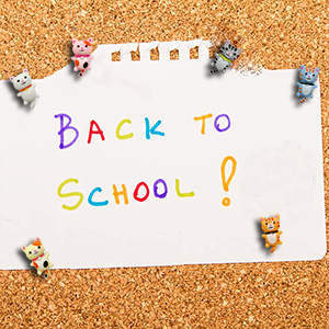 Decorative Push Pins