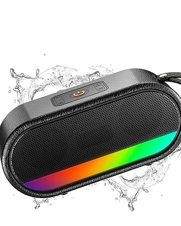 Portable Wireless Speaker