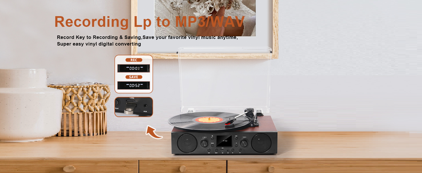 Vinyl Record Player