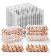 APOCHON 40PCS Plastic Egg Cartons 18 Count,Clear Egg Cartons Cheap Bulk for Fresh Eggs,Reusable E...