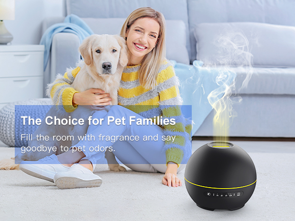 pet friendly