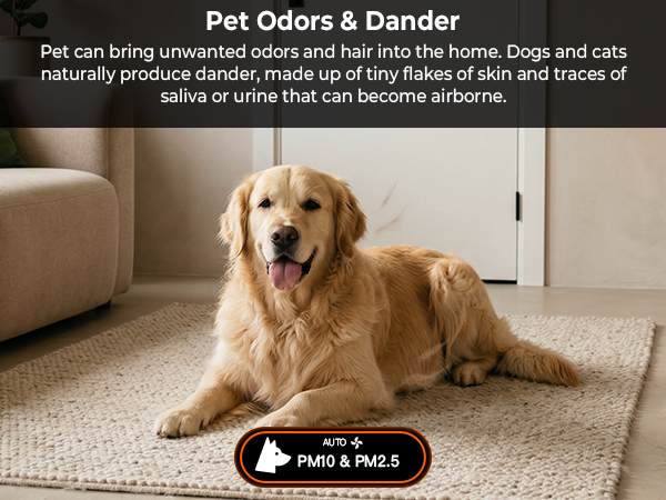 Air Purifiers