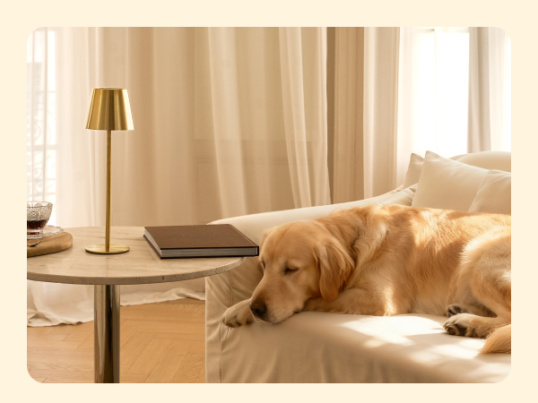 table lamp