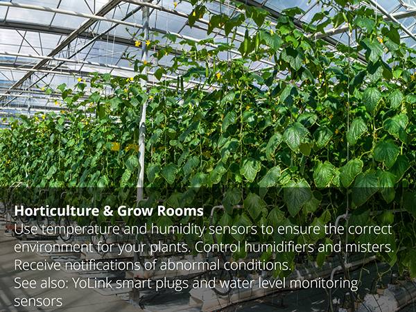 Grow Rooms