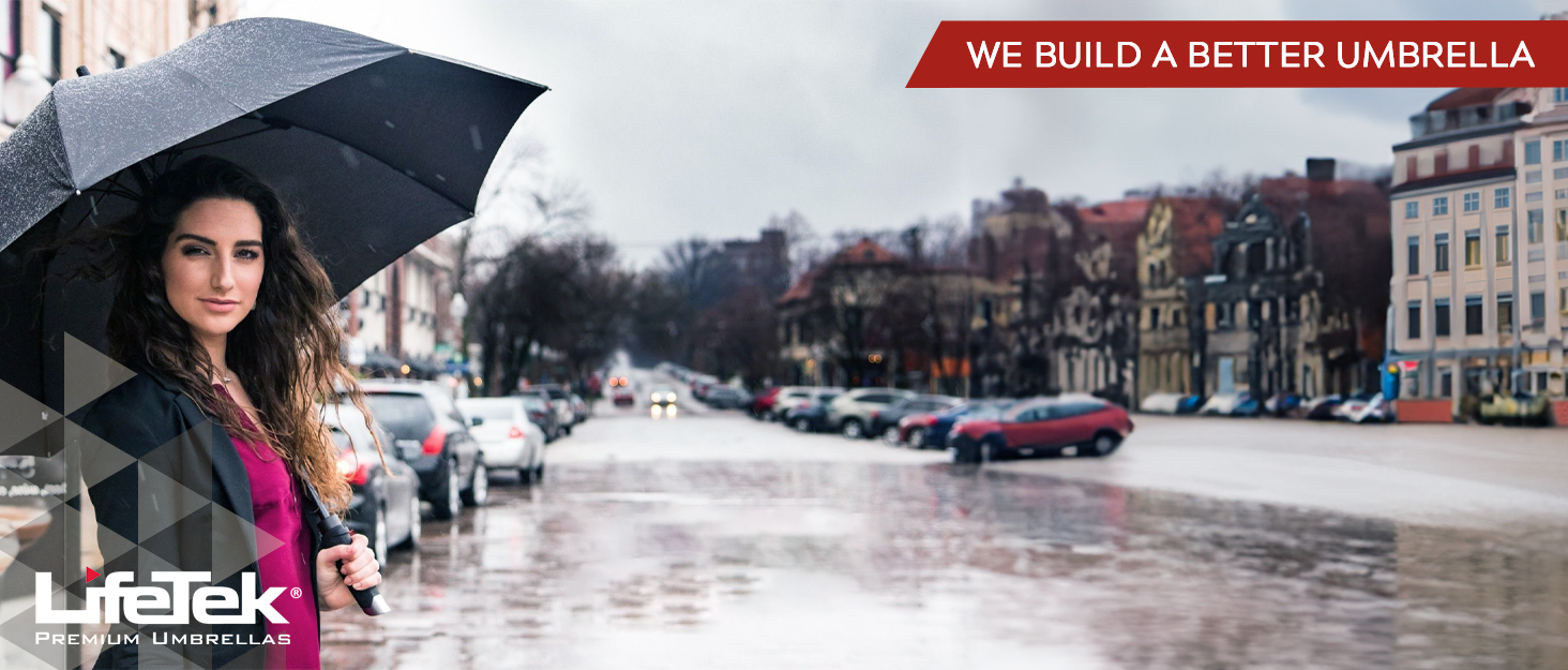 Compact Windproof Travel Umbrella Traveler