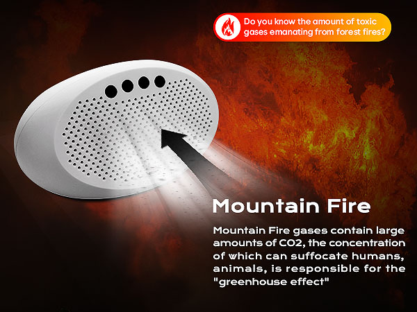 Air Quality Meters Indoor