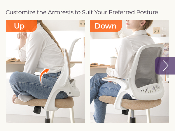 Desk Chair with Customizable Armrests