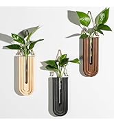 Dnnnii Indoor Wood Wall Planter Set of 3 for Plants - Boho Handmade Hanging Propagation Station w...