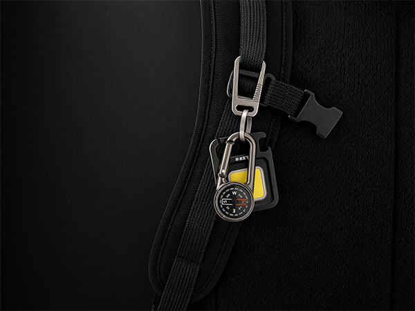 Titanium Carabiner Keychain